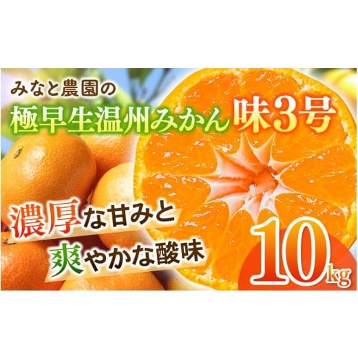 ふるさと納税 果物類 みかん 三重県 熊野市 数量限定 みなと農園の味3号 温州みかん 約10kg 2S〜Lサイズ混合 2026年10月中旬頃〜順次発送 みかん ミカン 蜜柑…