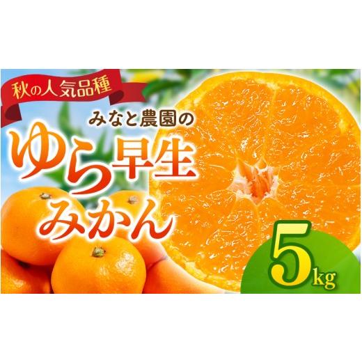 ふるさと納税 果物類 みかん 三重県 熊野市 数量限定 みなと農園のゆら早生みかん 約5kg 2S〜Lサイズ混合 2026年10月中旬頃〜順次発送 みかん ミカン 蜜柑 温…
