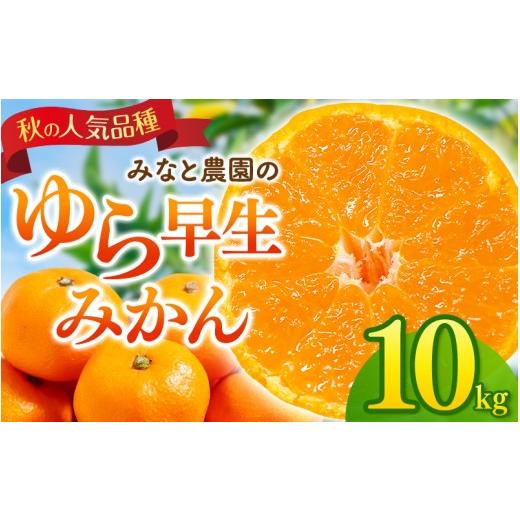 ふるさと納税 果物類 みかん 三重県 熊野市 数量限定 みなと農園のゆら早生みかん 約10kg 2S〜Lサイズ混合 2026年10月中旬頃〜順次発送 みかん ミカン 蜜柑 …