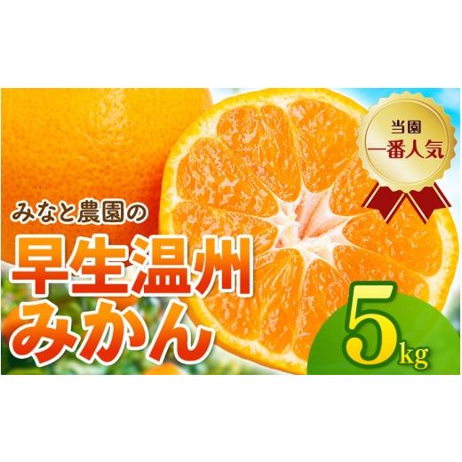 ふるさと納税 果物類 みかん 三重県 熊野市 数量限定 みなと農園の温州みかん 早生 約5kg 2S〜Lサイズ混合 2026年12月上旬頃〜順次発送 みかん ミカン 蜜柑 …