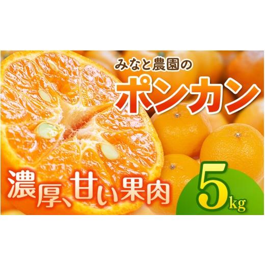 ふるさと納税 果物類 みかん 三重県 熊野市 先行予約 数量限定 みなと農園のポンカン 約5kg 2027年2月上旬頃〜順次発送 みかん ミカン 蜜柑 ポンカン 柑橘 フ…