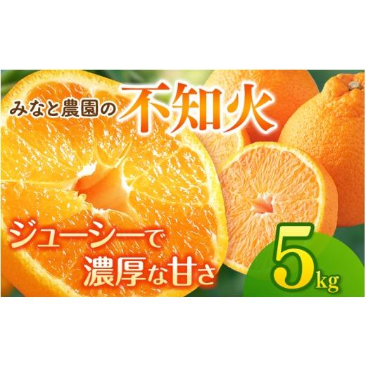 ふるさと納税 果物類 みかん 三重県 熊野市 先行予約 数量限定 みなと農園の不知火 約5kg 2027年2月下旬頃〜順次発送 みかん ミカン 蜜柑 不知火 しらぬい 柑…