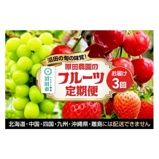 ふるさと納税 ぶどう マスカット 群馬県 沼田市 [一部地域限定配送]3回お届け 原田農園のフルーツ定期便 シャインマスカット→いちご→さくらんぼ 苺 いちご…