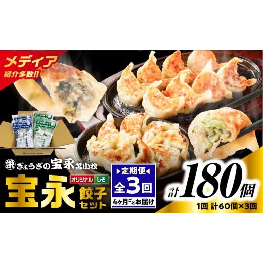ふるさと納税 餃子 北海道 苫小牧市 全3回定期便(4ヶ月毎) ぎょうざの宝永 しそ餃子セット(宝永餃子 15個入×2袋&しそ餃子 15個入×2袋)合計1.5kg T004…