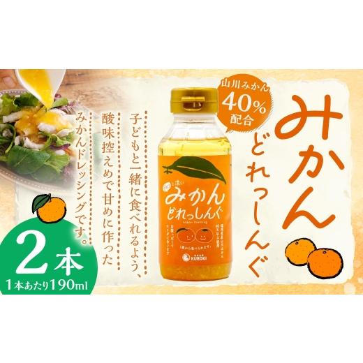 ふるさと納税 調味料・油 ドレッシング 福岡県 みやま市 A333 みかんどれっしんぐ 190ml×2本セット ドレッシング みかんドレッシング 調味料 料理 サラダドレ…