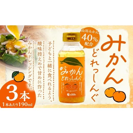 ふるさと納税 調味料・油 ドレッシング 福岡県 みやま市 A336 みかんどれっしんぐ 190ml×3本セット ドレッシング みかんドレッシング 調味料 料理 サラダドレ…