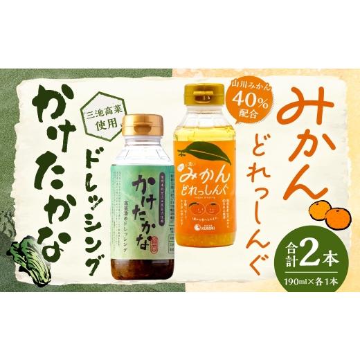 ふるさと納税 調味料・油 ドレッシング 福岡県 みやま市 A334 かけたかなドレッシング & みかんどれっしんぐ 各190ml×1本セット ( 計2本 ) ドレッシング …