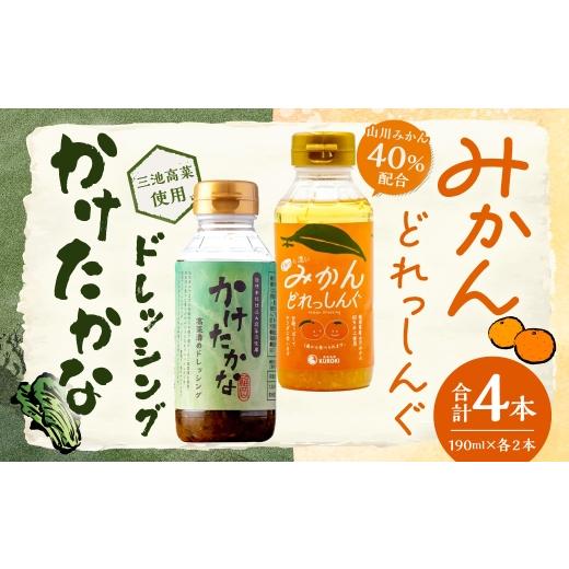 ふるさと納税 調味料・油 ドレッシング 福岡県 みやま市 A337 かけたかなドレッシング&みかんどれっしんぐ 各190ml×2本セット ( 計4本 ) ドレッシング 調…
