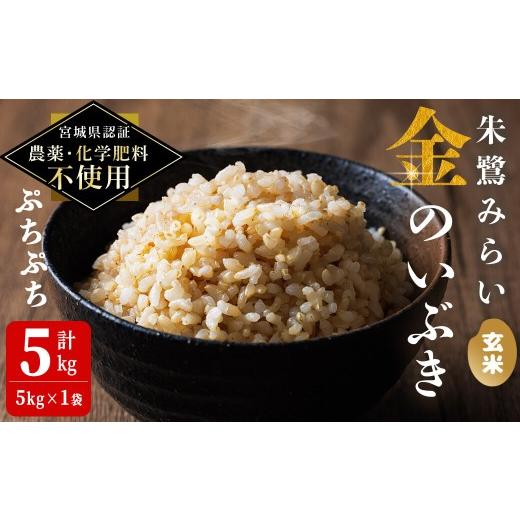 ふるさと納税 玄米 宮城県 登米市 宮城県認証 農薬・化学肥料不使用 金のいぶき 玄米 5kg(5kg×1袋) 朱鷺みらい 登米市産 お米 おこめ 米 コメ ご飯 ごはん …