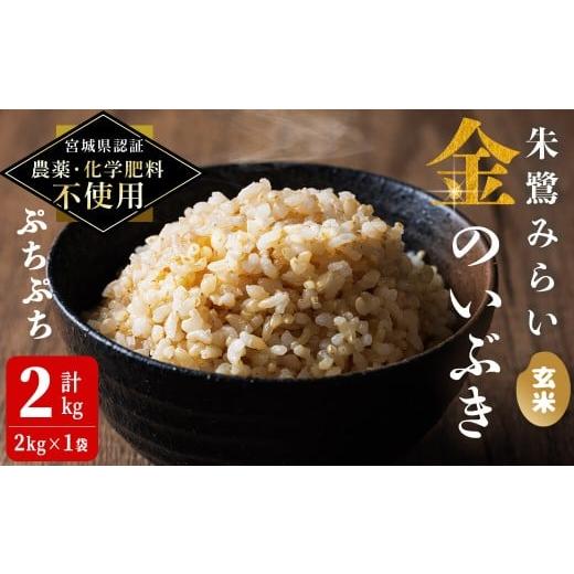 ふるさと納税 玄米 宮城県 登米市 宮城県認証 農薬・化学肥料不使用 金のいぶき 玄米 2kg(2kg×1袋) 朱鷺みらい 登米市産 お米 おこめ 米 コメ ご飯 ごはん …