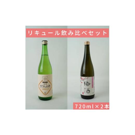 ふるさと納税 お酒 リキュール 長野県 諏訪市 梅酒/かりん酒 信濃屋リキュール飲み比べセット 純米仕込 梅酒/特撰かりんの酒 720ml×2本 /信濃屋 舞姫 横笛…