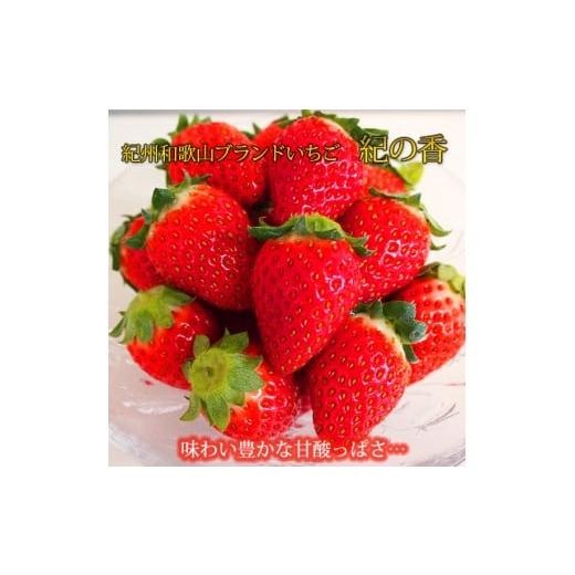 ふるさと納税 いちご 和歌山県 北山村 来シーズン先行予約 紀州和歌山ブランドいちご「紀の香」約250g×4P 2027年1月〜2027年3月頃順次発送(お届け日指定不…