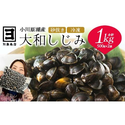 ふるさと納税 魚貝類 しじみ 青森県 東北町 砂抜き済みで手間いらず 冷凍・小川原湖産大和しじみ1kg(500g×2袋)