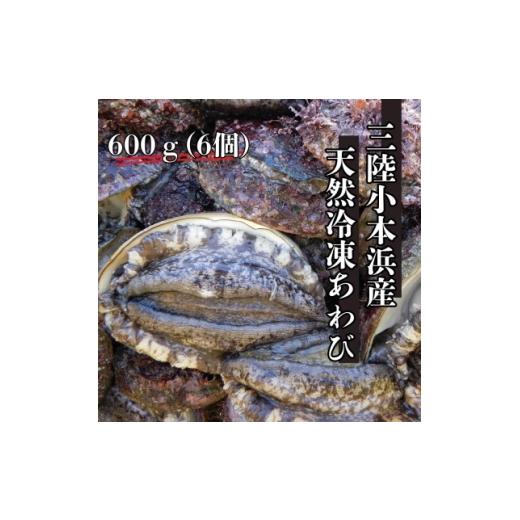ふるさと納税 魚貝類 アワビ 岩手県 岩泉町 三陸小本浜産冷凍天然あわび 600g(6個入り) 1717034