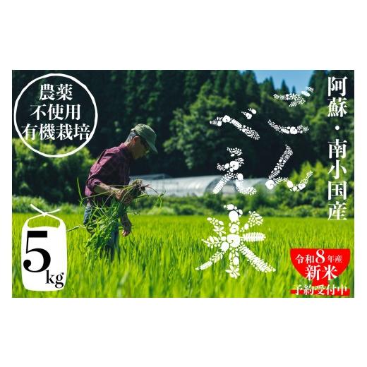 ふるさと納税 米 熊本県 南小国町 予約受付 令和8年産・新米 ごんべえ米 5kg 予約 令和8年産 新米 白米 玄米 精米 米 お米 玄米対応可能 ご飯 ごはん 無農薬 …