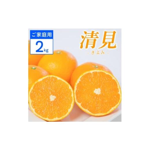 ふるさと納税 みかん・柑橘類 愛媛県 八幡浜市 ご家庭用 清見 2kg 愛媛県 八幡浜市 西宇和地区 柔らかい果肉 C25-377 _ ご家庭用 清見 2kg 愛媛県 八幡浜市 …