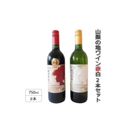 ふるさと納税 ワイン 白ワイン 山梨県 - 山梨の地ワイン赤白2本セット(東夢 勝沼貴婦人) 1707780