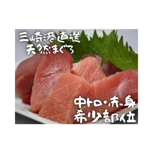 ふるさと納税 マグロ 神奈川県 三浦市 三崎港直送 天然マグロお刺身セット(中トロ赤身・希少部位) 5月お届け M005-035-05 5月お届け