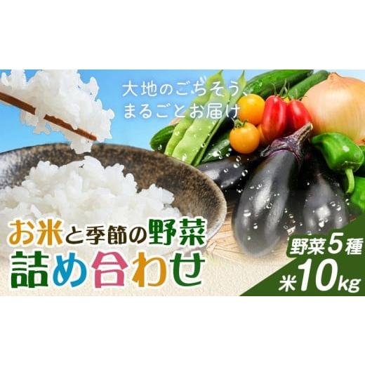 ふるさと納税 米 ヒノヒカリ 岡山県 矢掛町 米 野菜 詰め合わせ 季節の野菜 きぬむすめ ひのひかり おまかせ 米10kg+野菜5種 ありがとう園[30日以内に出荷予…