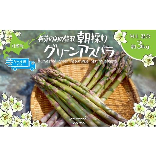ふるさと納税 野菜類 アスパラガス 北海道 壮瞥町 2026年予約 朝採りグリーンアスパラ(春芽)M-L混合 約3kg 北海道壮瞥町産 ふるさと納税 人気 おすすめ 北…