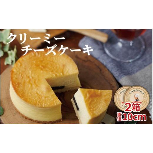 ふるさと納税 ケーキ・カステラ チーズケーキ 長崎県 佐世保市 F262 クリーミーチーズケーキ2箱セット