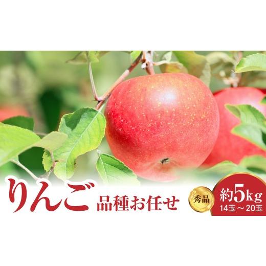 ふるさと納税 りんご 山形県 米沢市 先行予約 令和8年産 りんご 品種お任せ 秀品 約5kg 14玉 〜 20玉 中生種 涼香の季節 昂林 など 2026年10月上旬〜下旬頃 …