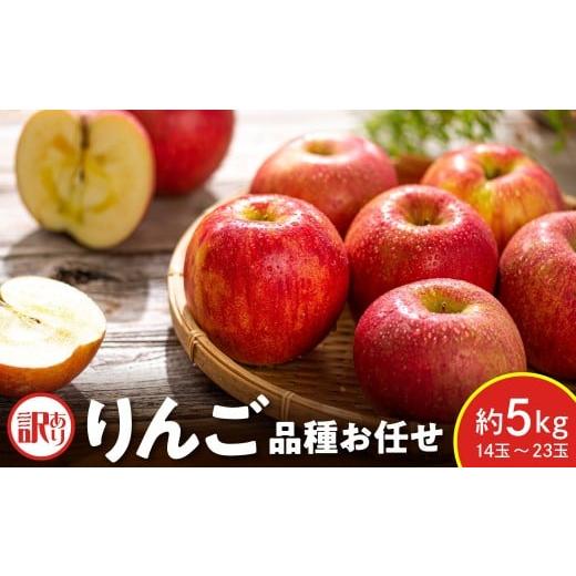 ふるさと納税 りんご 山形県 米沢市 先行予約 令和8年産 訳あり りんご 品種 お任せ 約5kg 14玉 〜 23玉 ご家庭用 中生種 涼香の季節 昂林 など 2026年10月上…