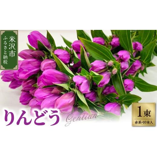 ふるさと納税 雑貨・日用品 花 山形県 米沢市 先行予約 りんどう 赤系 1束 10本入り 花 生花 切花 2026年8月上旬〜9月中旬 お届け予定 山形県 米沢市 赤系