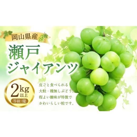 ふるさと納税 ぶどう マスカット 岡山県 美咲町 瀬戸ジャイアンツ 優 2kg以上 2026年9月下旬から10月下旬発送予定 / マスカット 葡萄 ぶどう 果物 果実 フル…