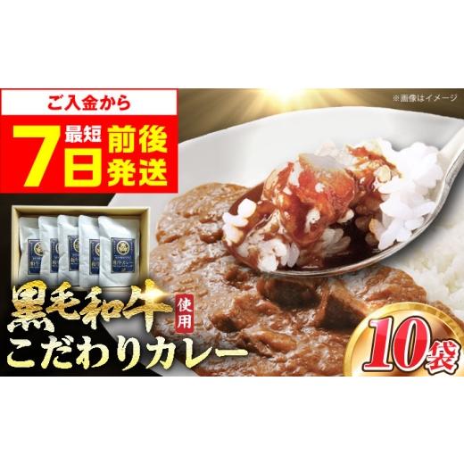 ふるさと納税 加工品等 レトルト 大阪府 高槻市 スピード発送 カレー モリタ屋オリジナル和牛カレー10袋 カレー カレーレトルト 人気 レトルトカレー レトル…