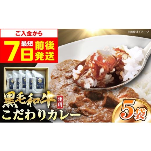 ふるさと納税 加工品等 レトルト 大阪府 高槻市 カレー 母の日配送 モリタ屋オリジナル和牛カレー5袋 カレー カレーレトルト 人気 レトルトカレー レトルト食…