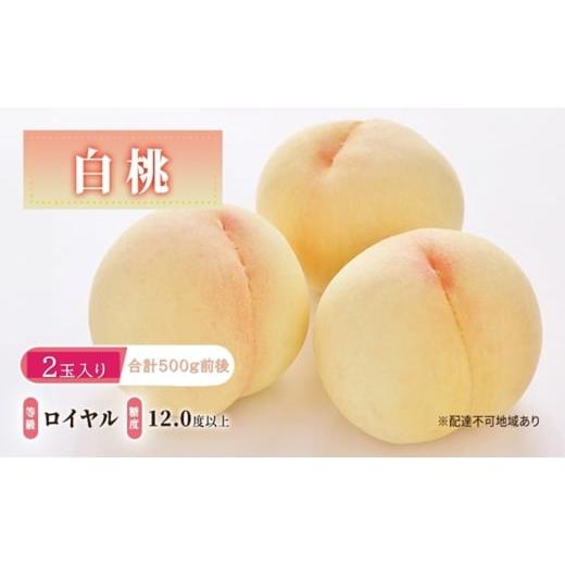 ふるさと納税 もも 岡山県 玉野市 桃 2026年 先行予約 白桃 等級: ロイヤル 糖度12.0度以上 2玉入り 合計500g前後 もも モモ 岡山県産 国産 フルーツ 果物 ギ…