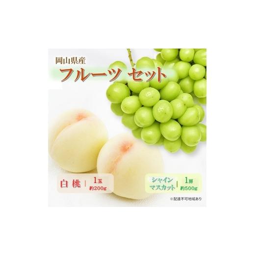 ふるさと納税 ぶどう マスカット 岡山県 玉野市 岡山県産 フルーツセット シャインマスカット 1房(約500g) 白桃 1玉(約200g) 果物 フルーツ 詰め合わせ ぶどう…