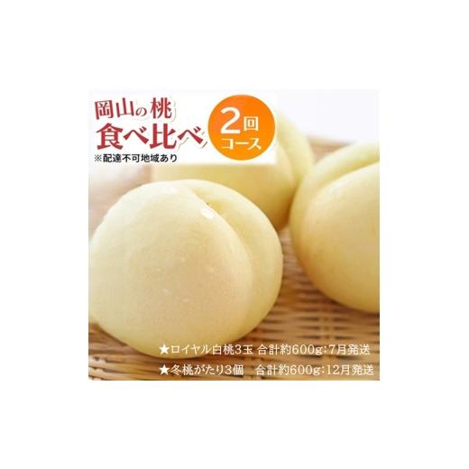 ふるさと納税 もも 岡山県 玉野市 先行予約 晴れの国 岡山のフルーツ 定期便 2回コース 1回目ロイヤル白桃3玉 合計約600g/2回目冬桃がたり3個 合計約600g