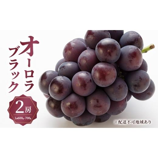 ふるさと納税 果物類 ぶどう 岡山県 玉野市 ぶどう 2026年 先行予約 オーロラ ブラック 2房(1房600g〜700g) 大粒 種無し ブドウ 葡萄 岡山県産 国産 フルー…