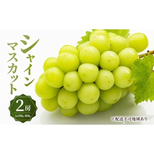 ふるさと納税 ぶどう マスカット 岡山県 玉野市 ぶどう 2026年 先行予約 シャイン マスカット 2房 (1房700g〜800g) 大粒 種無し ブドウ 葡萄 岡山県産 国産 …