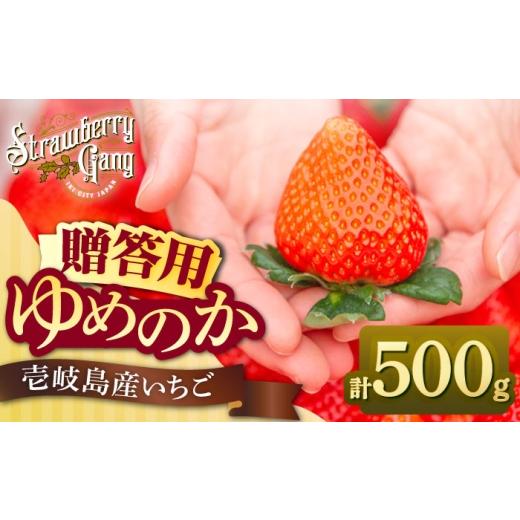 ふるさと納税 いちご 長崎県 壱岐市 贈答用 ゆめのか 250g×2パック [壱岐市] Strawberry Gang JEM005 セット いちご イチゴ 苺 果物 フルーツ スムージー …
