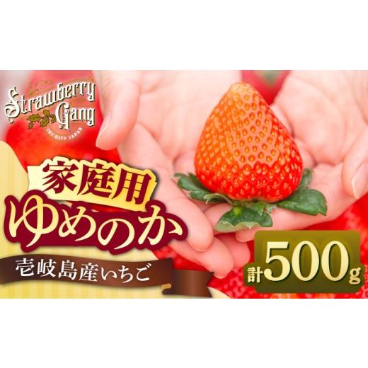 ふるさと納税 いちご 長崎県 壱岐市 訳あり/簡易包装 ゆめのか 約250g × 2パック [壱岐市] Strawberry Gang JEM006 セット いちご イチゴ 苺 果物 フルー…