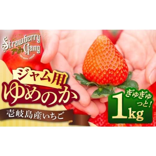 ふるさと納税 いちご 長崎県 壱岐市 ジャム用 ゆめのか(小玉・中玉) 1kg [壱岐市] Strawberry Gang JEM007 セット いちご イチゴ 苺 果物 フルーツ スム…