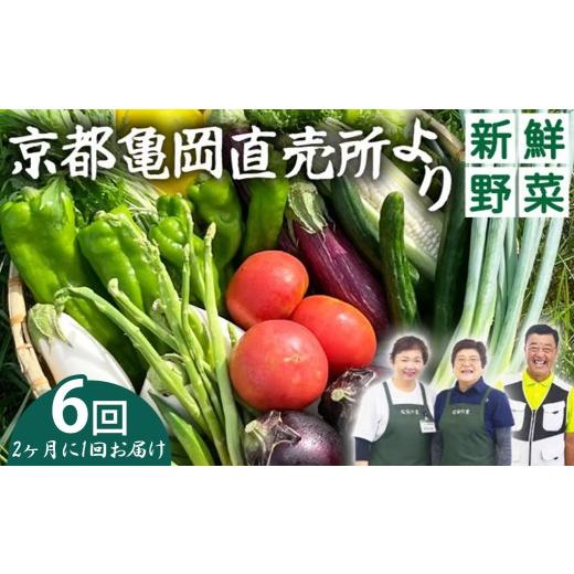ふるさと納税 セット・詰合せ 京都府 亀岡市 9月発送 6回定期便(2ヶ月に1回) 野菜 定期便 直送 6回 朝採れ 7〜10品目 京都丹波 亀岡 佐伯の里 訳あり生活応援…