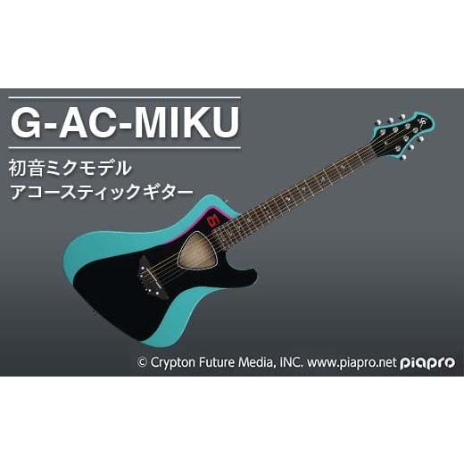 ふるさと納税 楽器 ギター・ベースギター 埼玉県 三芳町 G-AC-MIKU 初音ミク ギター アコースティックギター 弦楽器 音楽 楽器 FAA-218