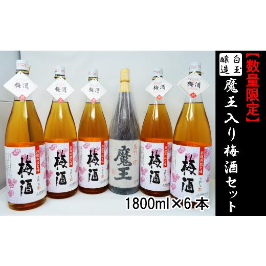 ふるさと納税 焼酎 いも 鹿児島県 錦江町 数量限定 No.4026-3 白玉醸造 魔王入り梅酒セット