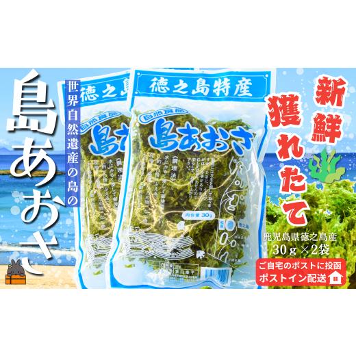 ふるさと納税 乾物 海藻 鹿児島県 徳之島町 2560 2026年とれたて 煌きの海からの恵み 島あおさ(2袋) ポストイン配送 ( アオサ あおさ のり 海苔 乾物 徳之島…