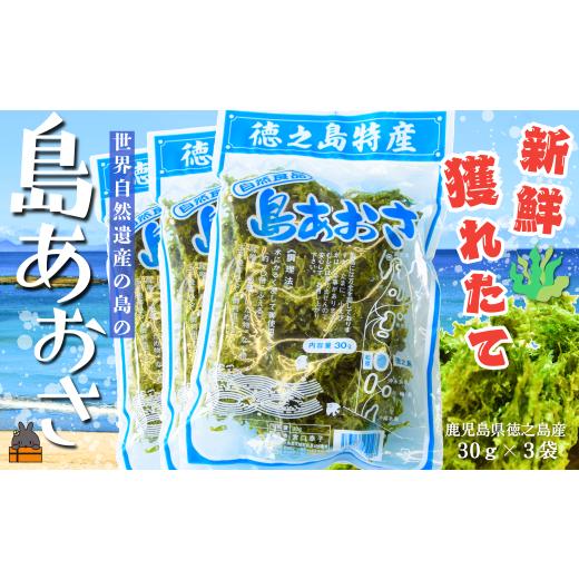 ふるさと納税 乾物 海藻 鹿児島県 徳之島町 2561 2026年とれたて 煌きの海からの恵み 島あおさ(3袋)( アオサ あおさ のり 海苔 乾物 徳之島 奄美 鹿児島 お…