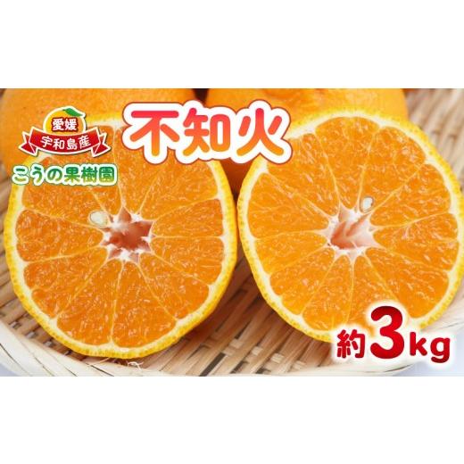 ふるさと納税 果物類 みかん 愛媛県 宇和島市 不知火 ( デコポン と同品種) 3kg こうの果樹園 しらぬい 柑橘 取り寄せ 春のみかん ミカン みかん mikan 蜜柑 …