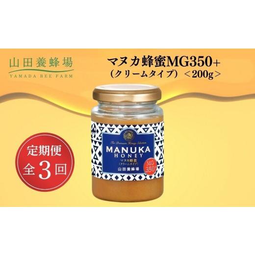 ふるさと納税 加工品等 はちみつ 岡山県 鏡野町 定期便3回 マヌカ蜂蜜MG350+(クリームタイプ) 200g 006-a135 定期便全3回
