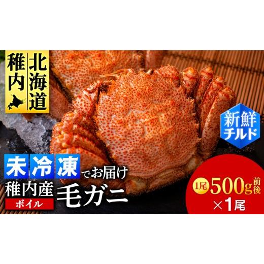ふるさと納税 カニ 毛ガニ 北海道 稚内市 チルドでお届け 稚内産ボイル毛ガニ 500g前後×1尾