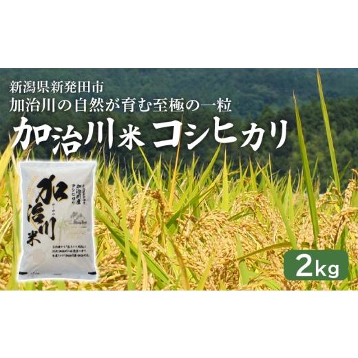 ふるさと納税 米 コシヒカリ 新潟県 新発田市 加治川米コシヒカリ 令和7年産 新潟県産 コシヒカリ 2kg 新潟県 新発田市 加治川産 新発田産 新潟 ふるさと納税…