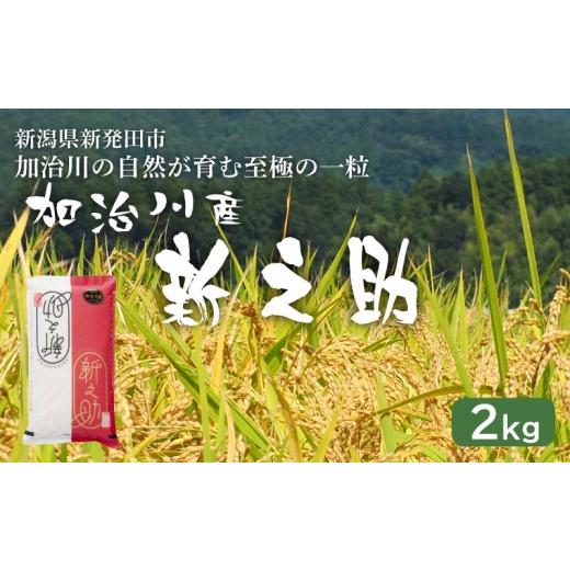 ふるさと納税 米 新潟県 新発田市 加治川産新之助 令和7年産 新潟県産 新之助 2kg 新潟県 新発田市 加治川産 新発田産 新潟 ふるさと納税 精米 米 お米 新之…