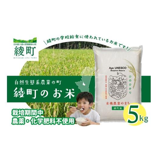 ふるさと納税 米 宮崎県 綾町 綾町のお米 5kg